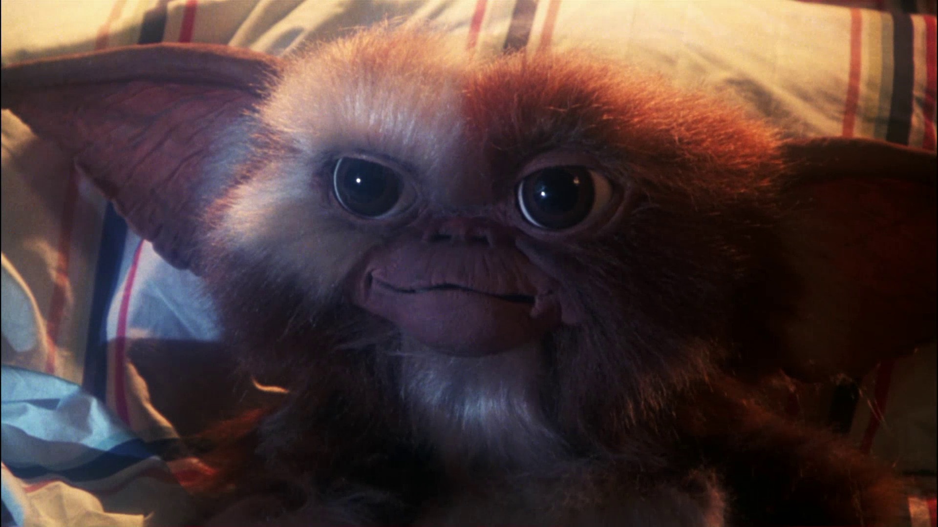 Gremlins-1984-still-1726071364946-4.jpg