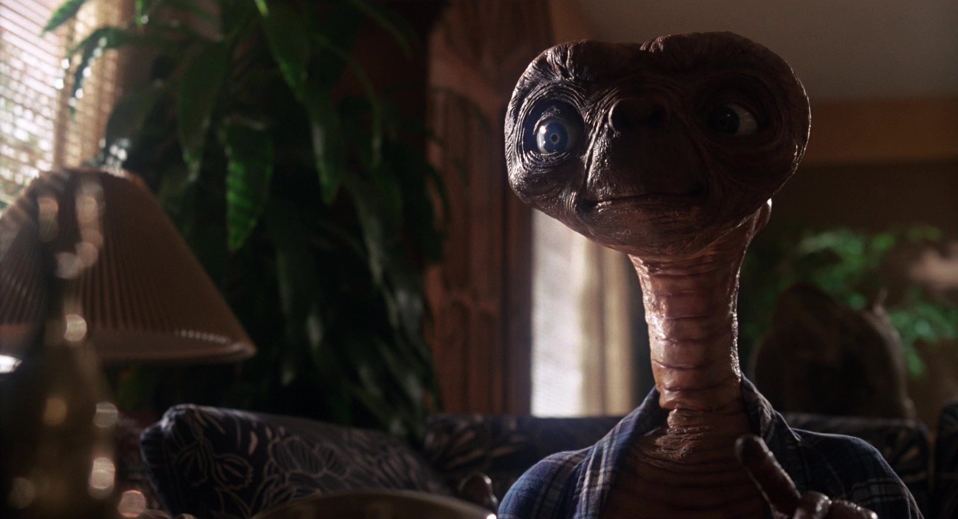 ET-the-Extra-Terrestrial-1982-still-1726071322042-25.jpg