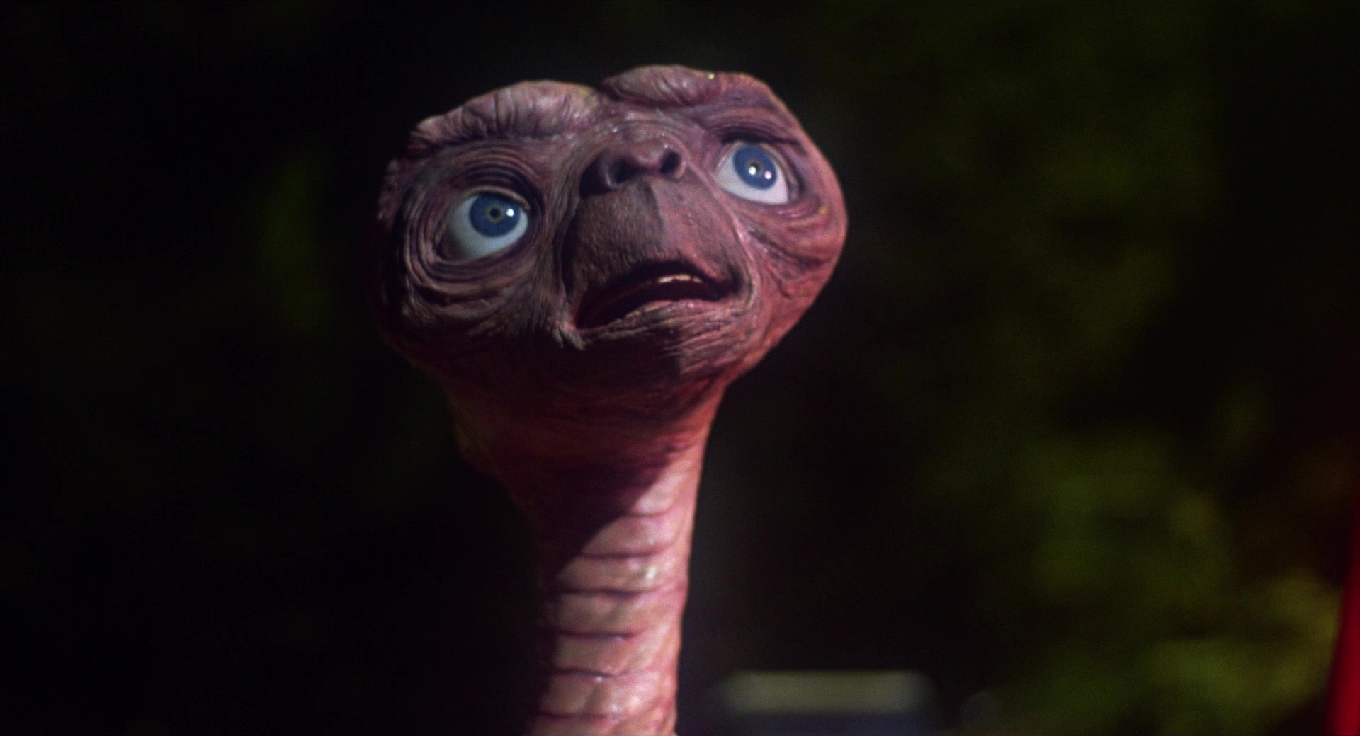 ET-the-Extra-Terrestrial-1982-still-1726071322043-36.jpg